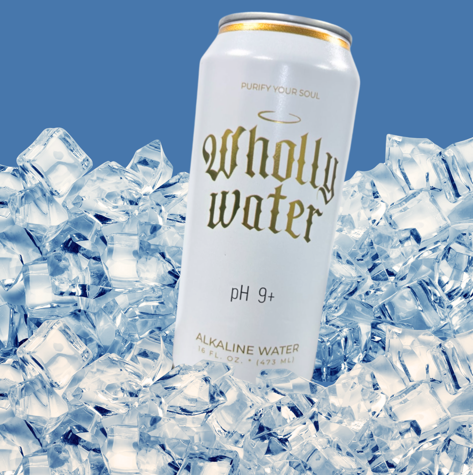 Wholly Water
